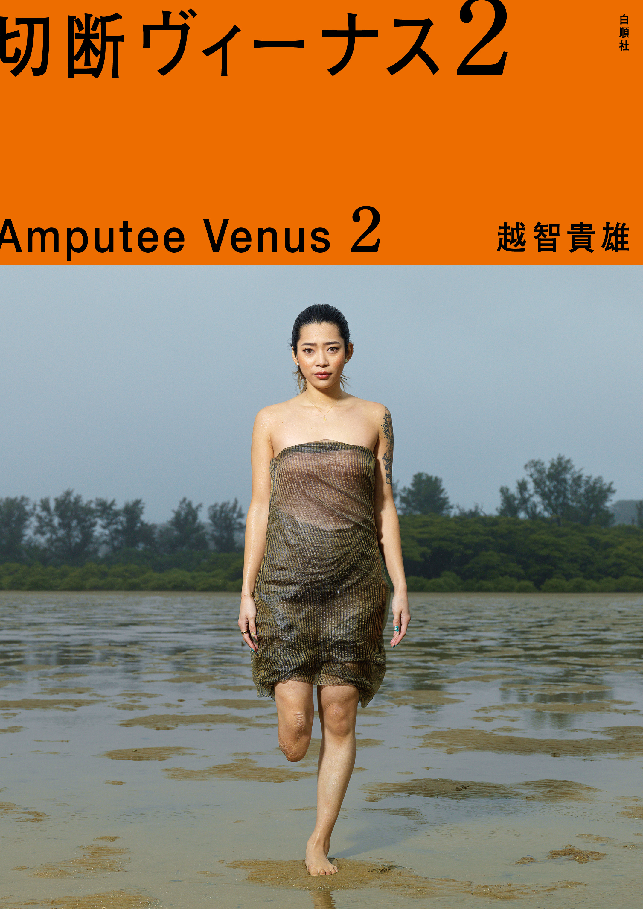 Amputee Venus2